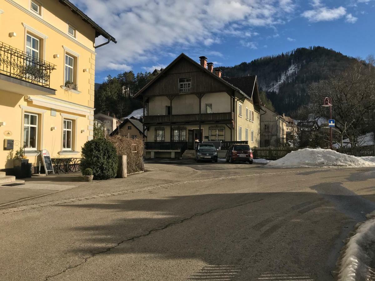 Ferienwohnung Nr.1 Hollenstein an der Ybbs Bagian luar foto