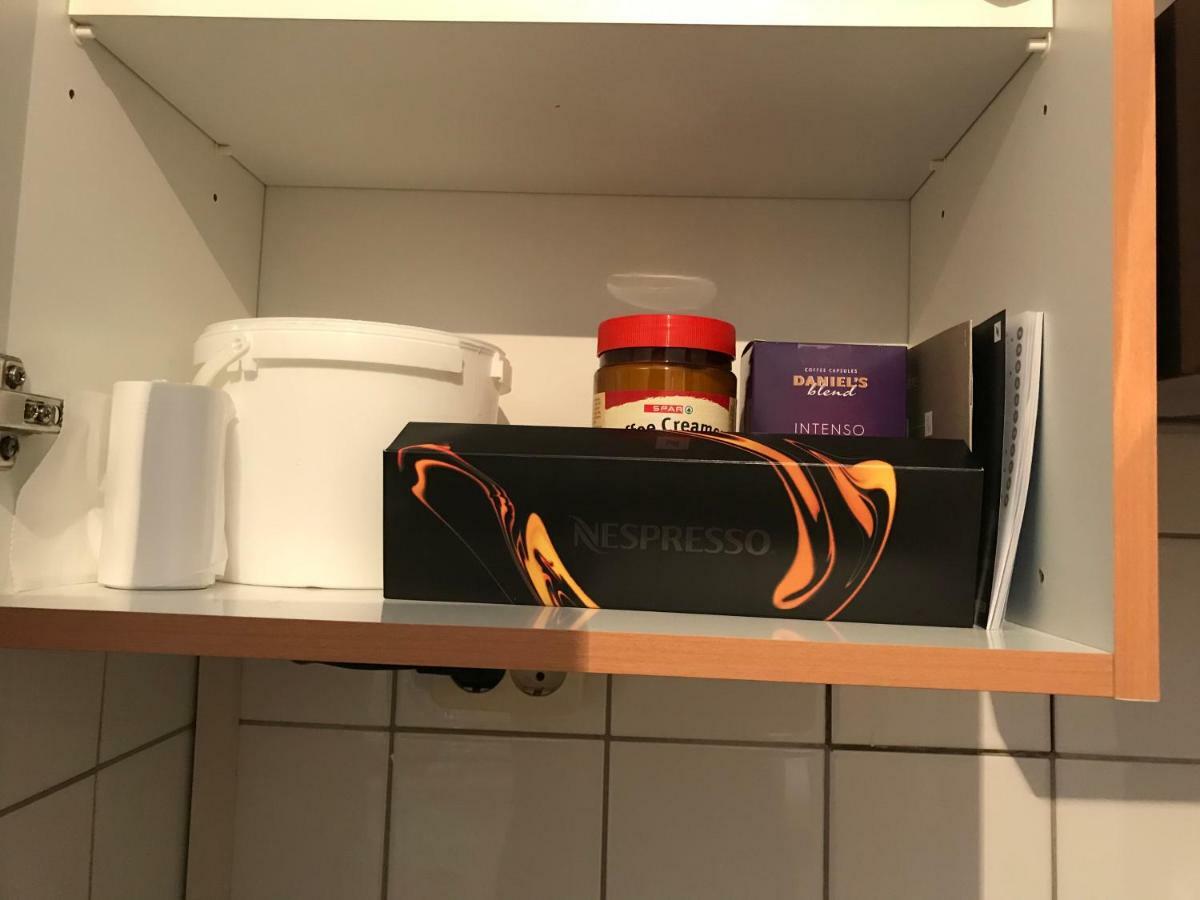Ferienwohnung Nr.1 Hollenstein an der Ybbs Bagian luar foto